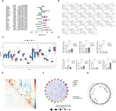 Gene signatures of copper metabolism related genes may predict prognosis and immunity status in Ewing’s sarcoma